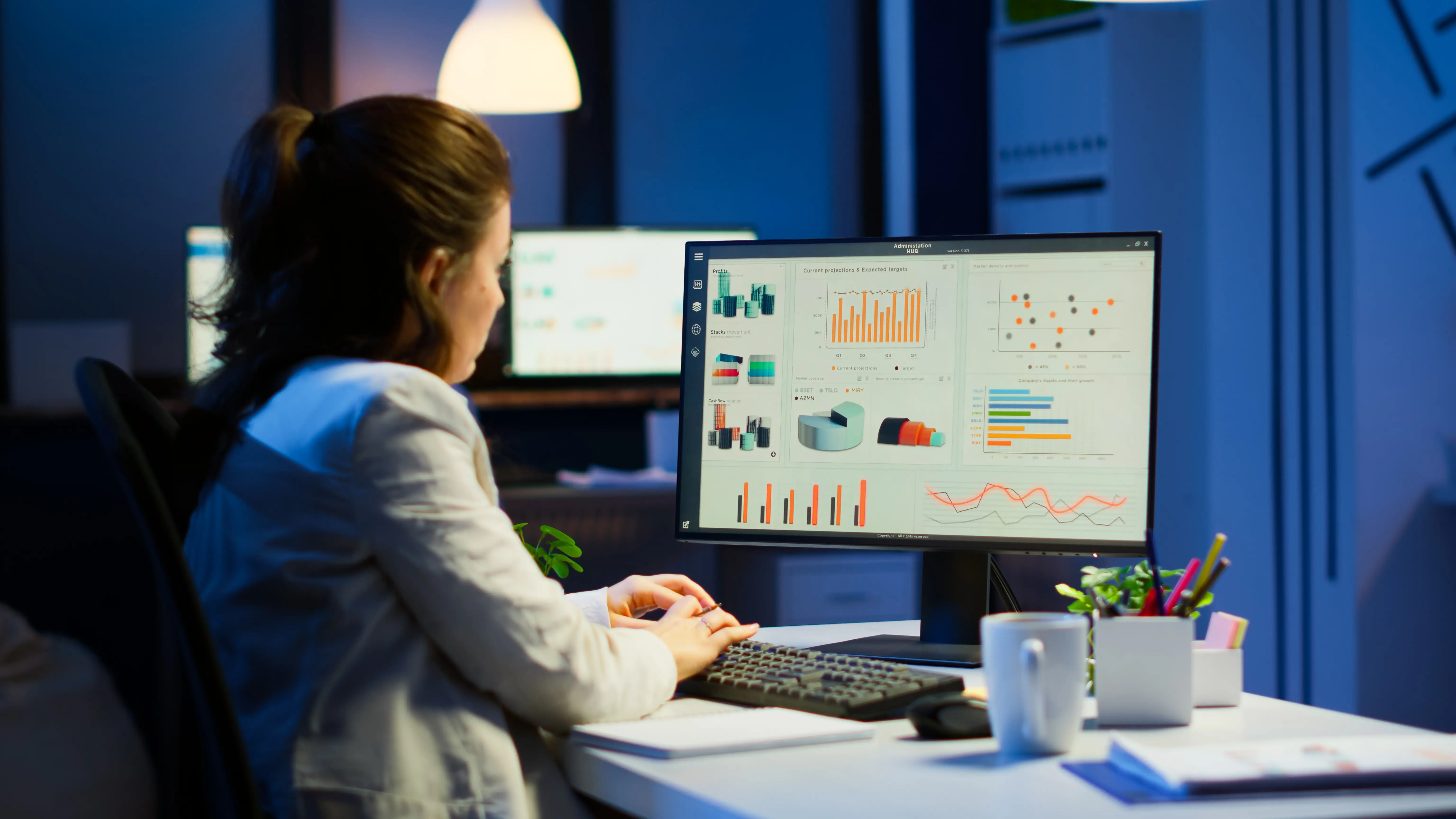 Sisteme CRM / ERP