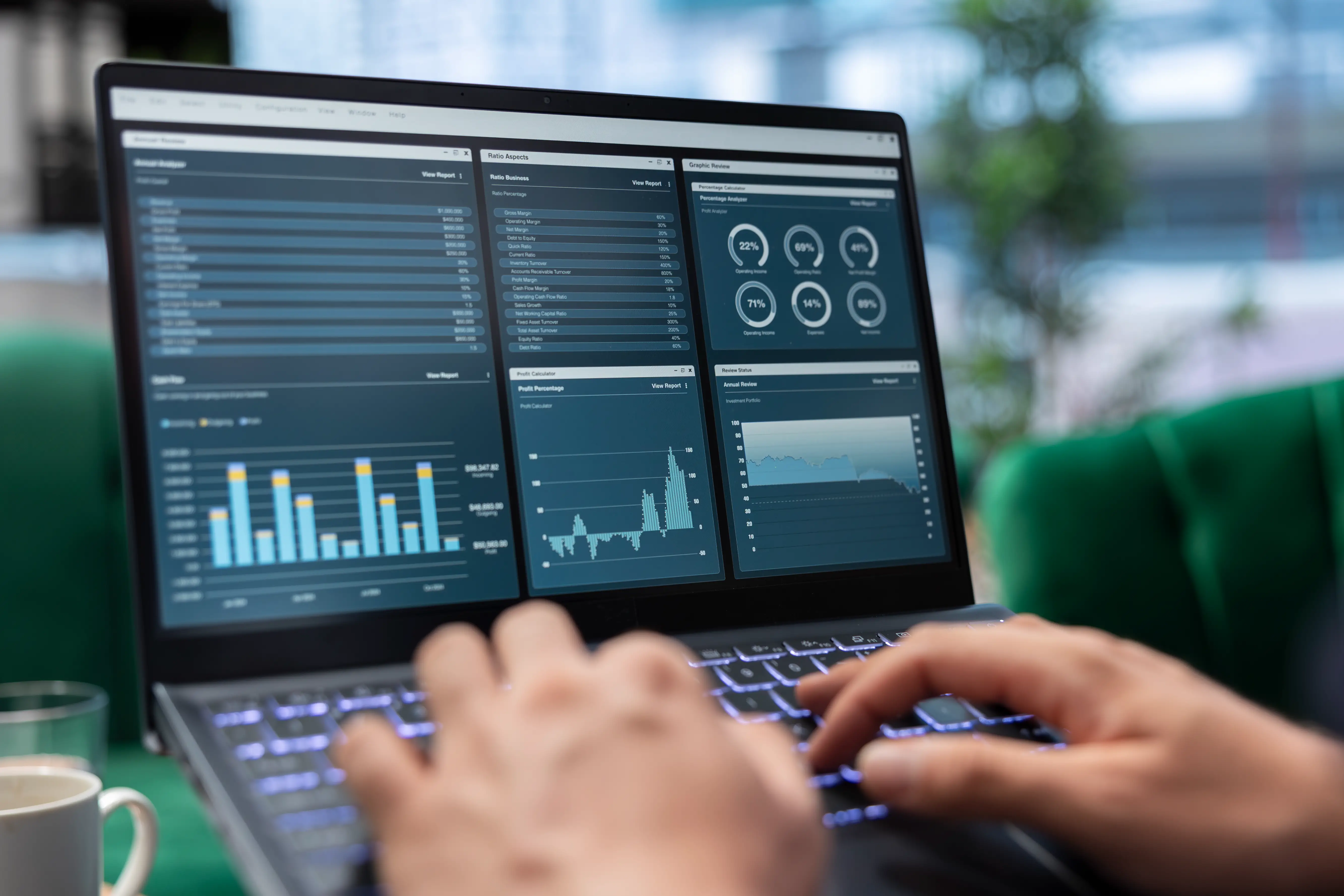 Sisteme de Utilizare Internă (CRM/ERP)