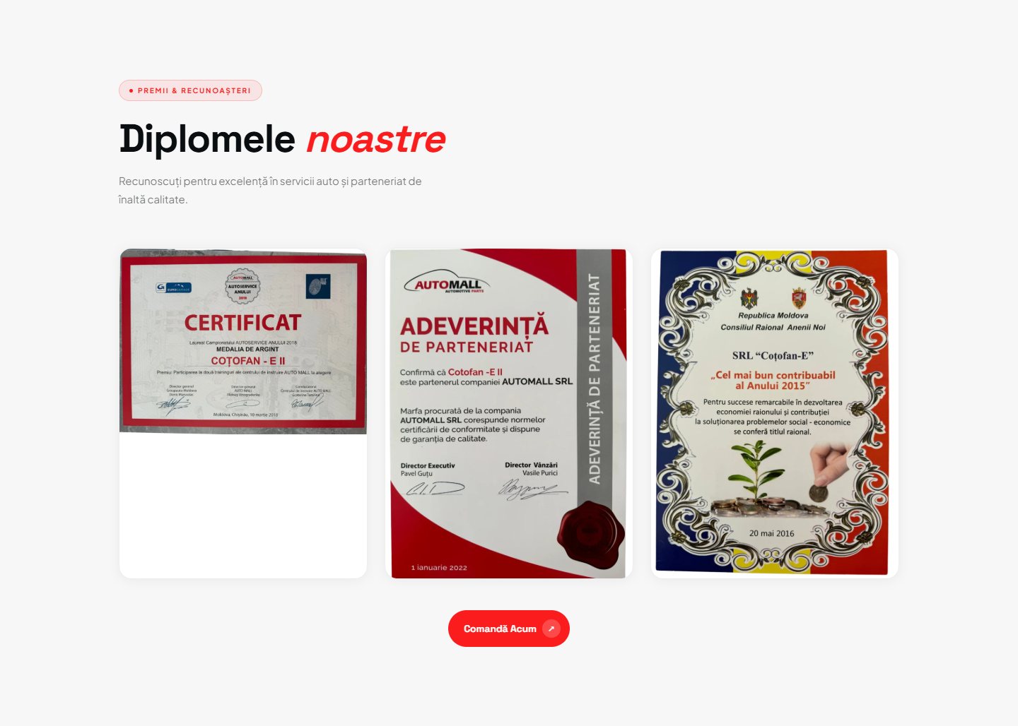 Rapid Auto Service – captură desktop